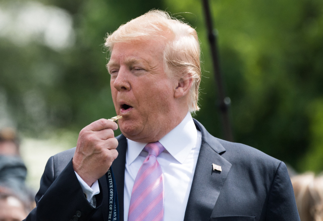 Prezident Donald Trump. 