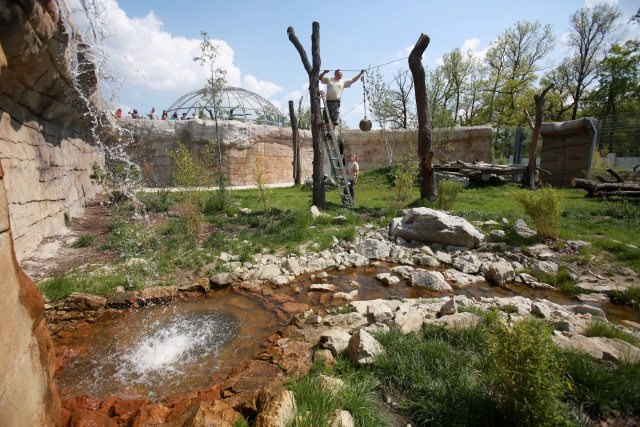 Tygří výběh v zoo Ohrada. 