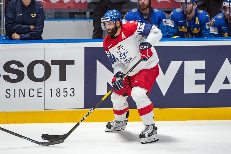 Radko Gudas v zápase se Švédskem.