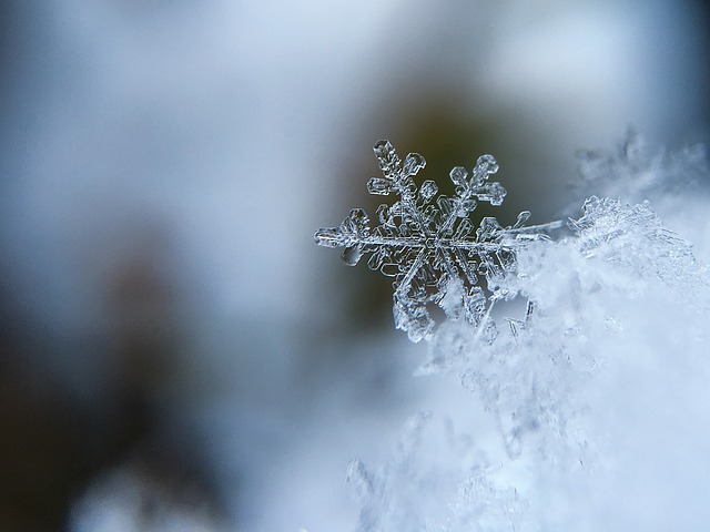 Ilustrační foto.