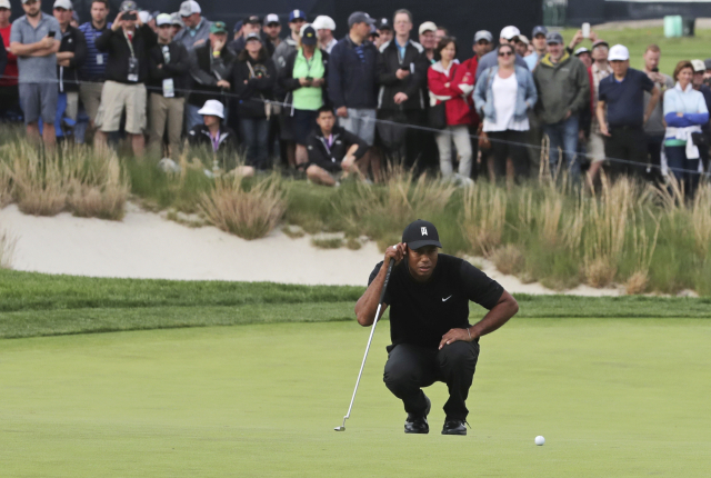 Golfista Tiger Woods. Golfista Tiger Woods.