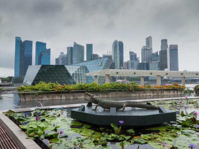Pohled na Singapur. 