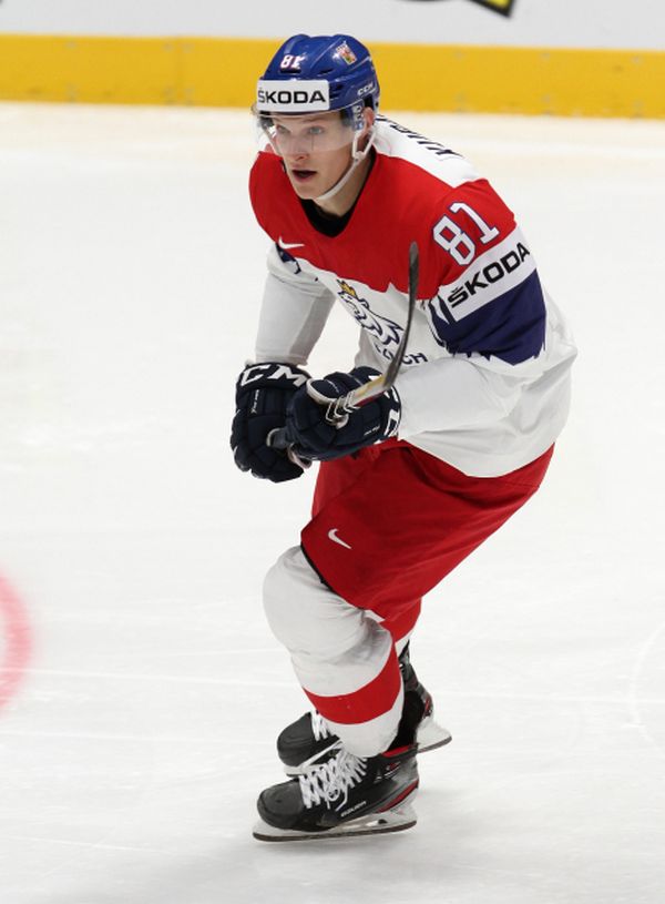 Hokejový útočník Dominik Kubalík.