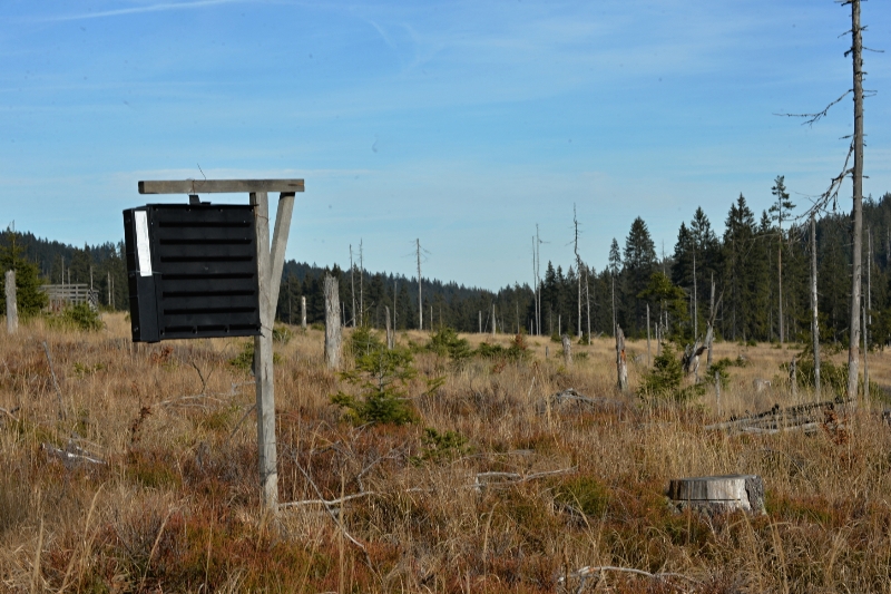 Národní park Šumava bude mít příštích patnáct let čtyři zóny.