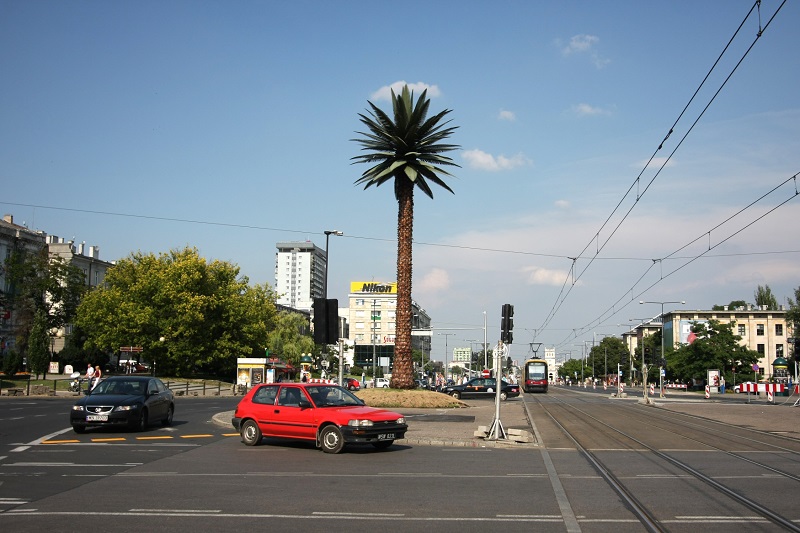 Palma ve Varšavě dostala opět zdravé zelené listy.