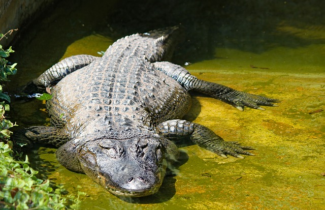 Ilustrační foto.