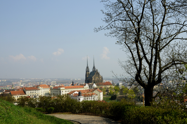 Pohled na Brno.