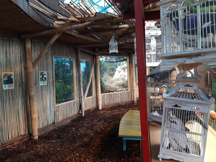 Pavilon tropů liberecké zoo je po rekonstrukci za půl milionu korun atraktivnější. 