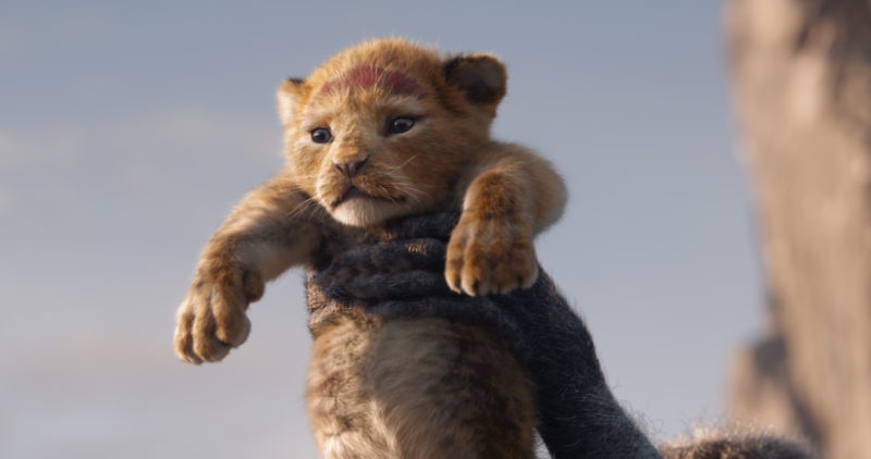 Simba v hrané verzi Lvího krále.