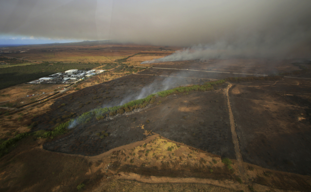 V oblasti požáru na havajském ostrově Maui platí stav nouze. V oblasti požáru na havajském ostrově Maui platí stav nouze.
