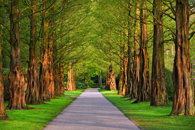 Ilustrační foto.