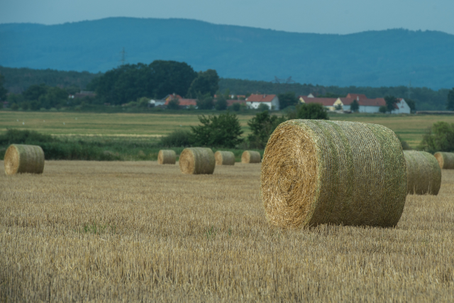 Ilustrační foto.