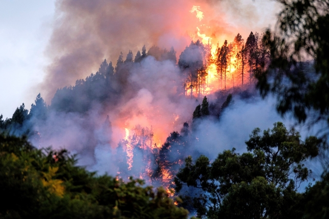 Lesní požár na Gran Canaria.