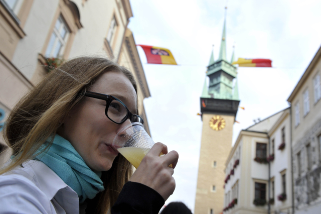 Znojemské vinobraní.