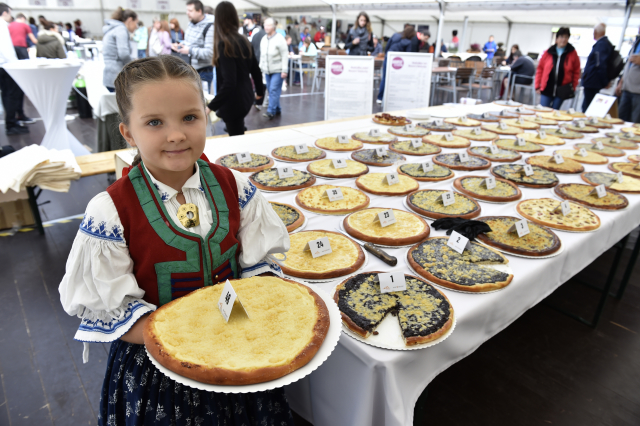 Soutěž o nejlepší valašský frgál, Karlovský gastrofestival.