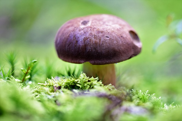 Ilustrační foto.