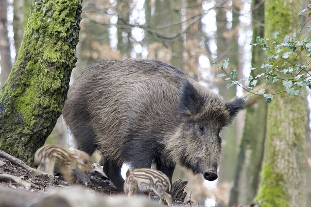 Ilustrační foto.