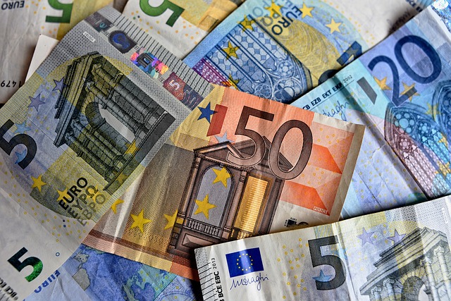 Euro, měna EU.