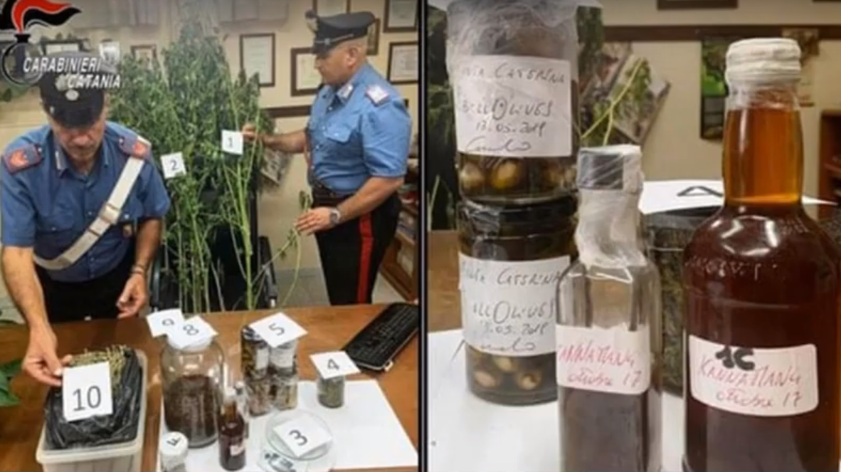 Policisté zabavili dvě rostliny a dalších 500 gramů marihuany.