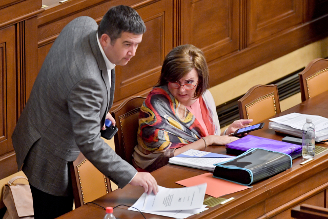 Alena Schillerová s Janem Hamáčkem. 