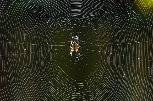 Ilustrační foto.