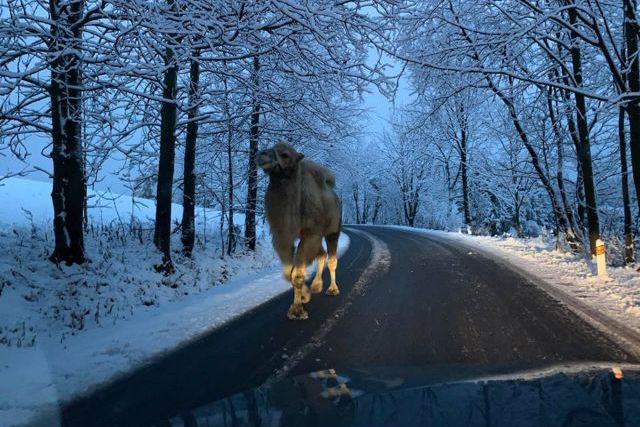 Ilustrační foto.