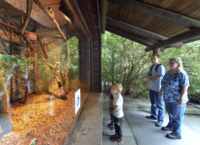 Z jihlavské zoo.