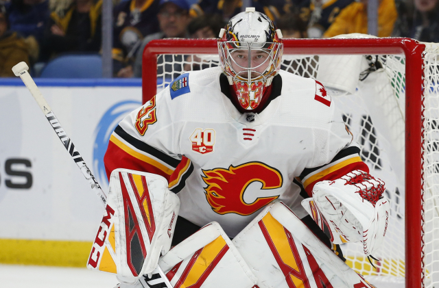 Gólman David Rittich.