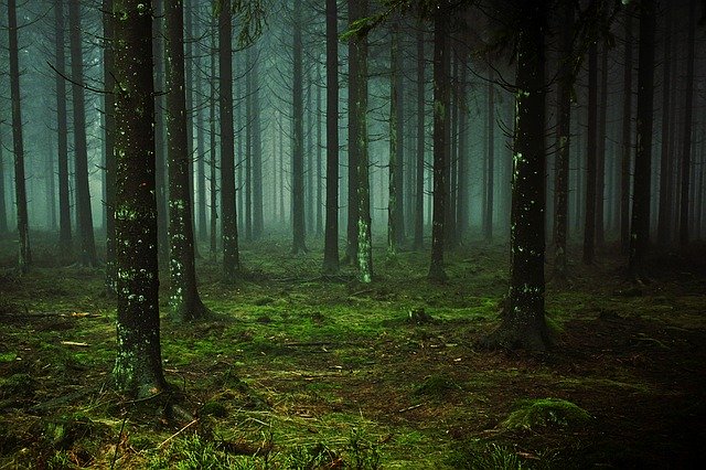 Ilustrační foto.