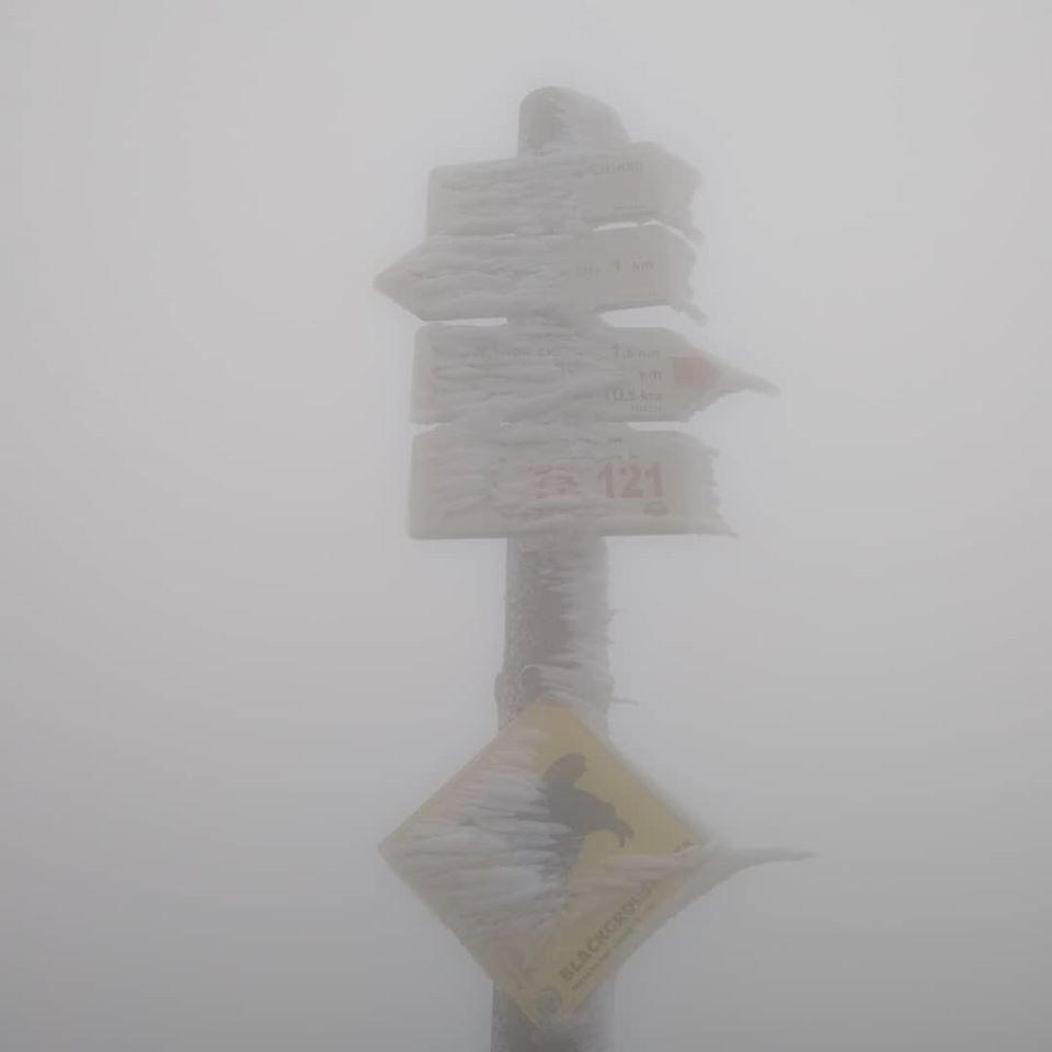 Ilustrační foto.