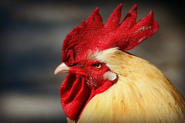 Ilustrační foto.