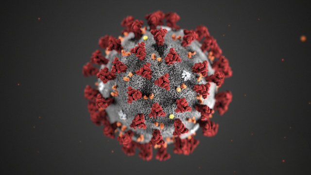 Koronavirus.