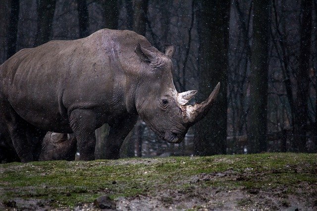 Ilustrační foto.