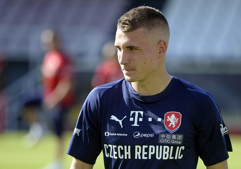 České "lvíče" poslalo do nemocnic půl milionu.