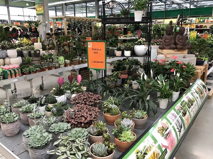 Hobby market.