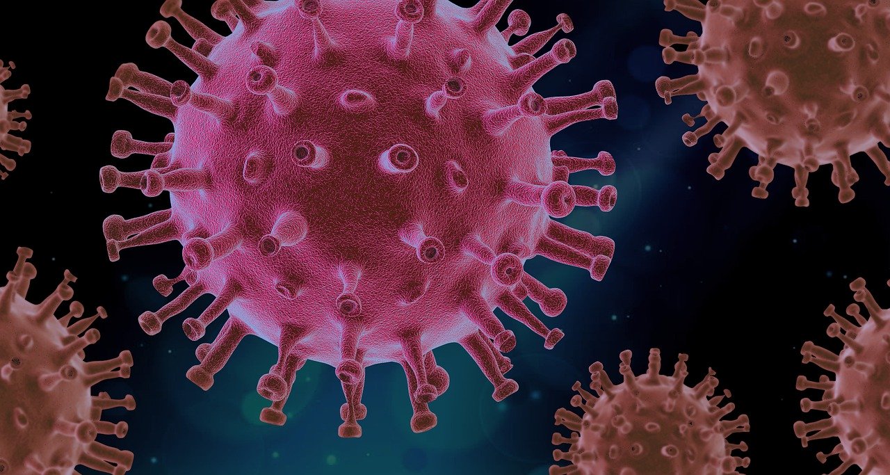 Testování samoplátců na přítomnost SARS-CoV-2