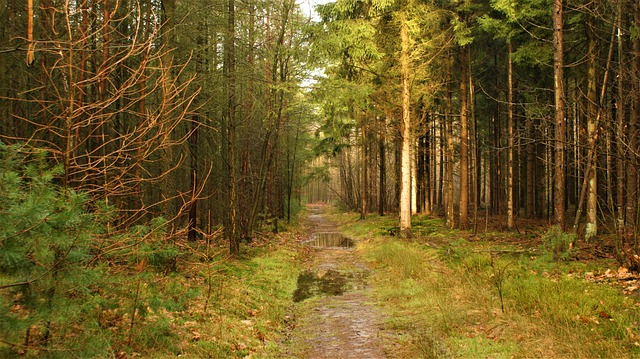 Ilustrační foto.