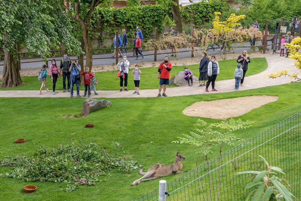 Návštěvníci v pražské zoologické zahradě.