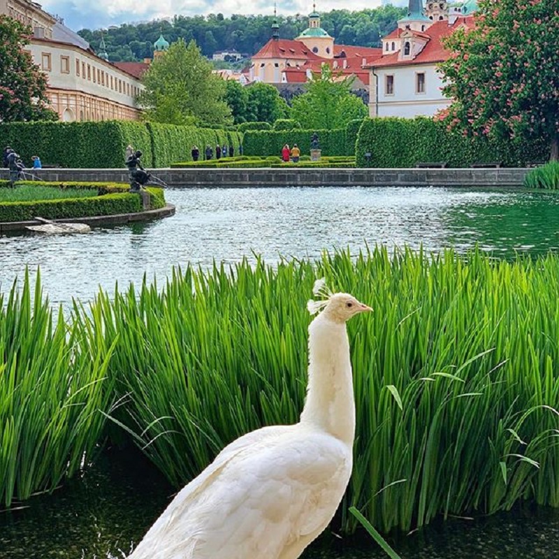 Výstava představí nejvýznamnější členy rodu Valdštejnů.