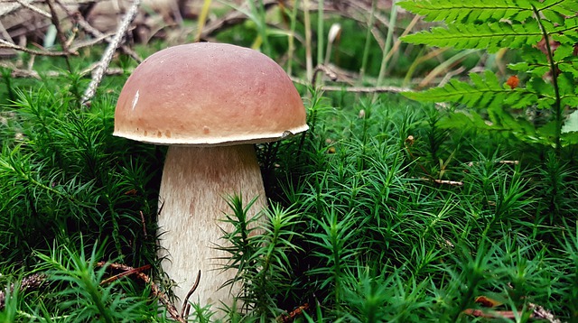 Ilustrační foto.