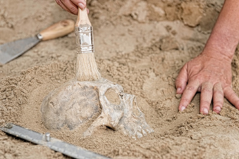 Archeologové našli čtyři hroby z období Velké Moravy.