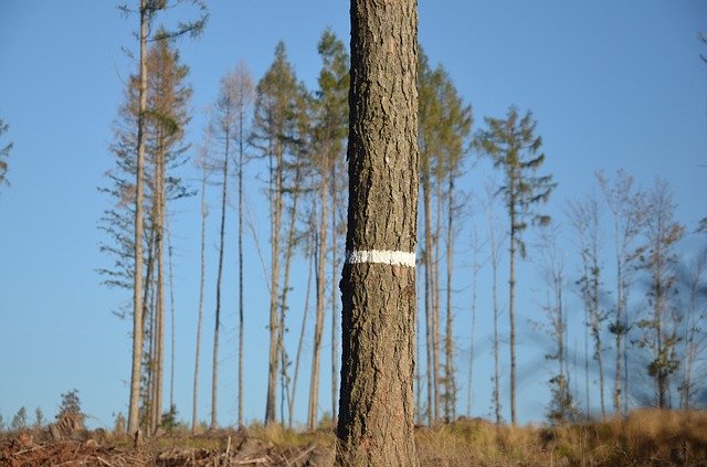 Ilustrační foto.