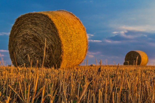 Ilustrační foto.