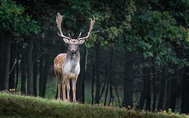 Ilustrační foto.