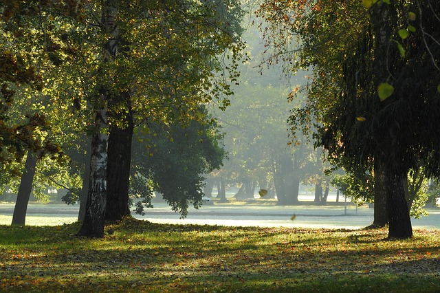 Ilustrační foto.