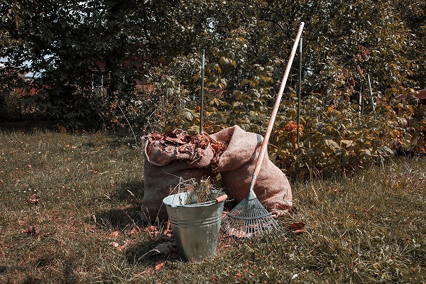 Ilustrační foto.