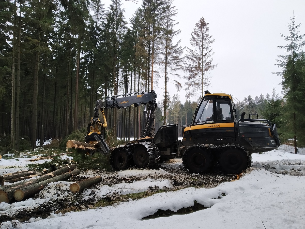 Zpracování dřeva napadeného kůrovcem harvestorem.