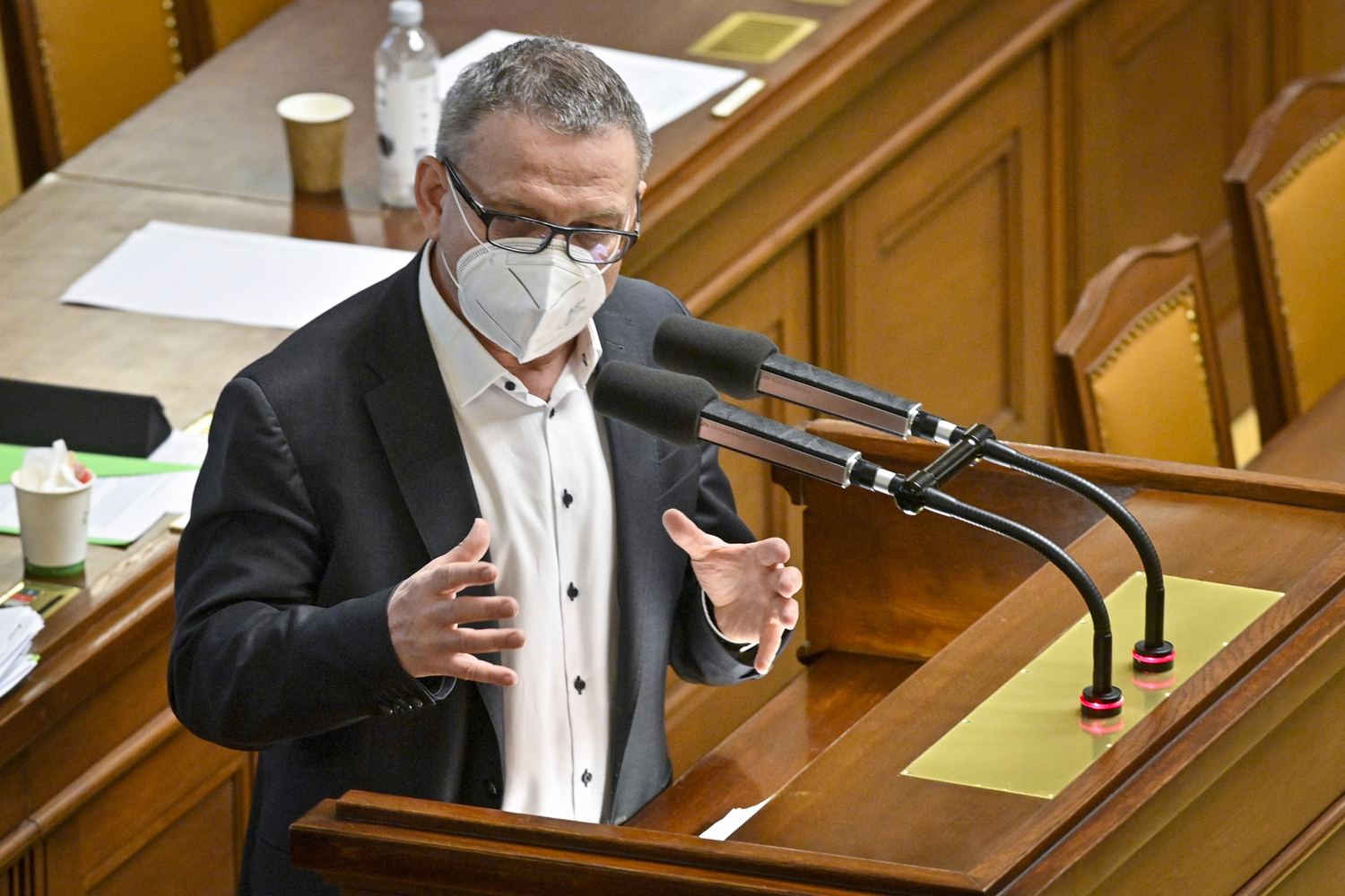 Ministr kultury Lubomír Zaorálek (ČSSD).