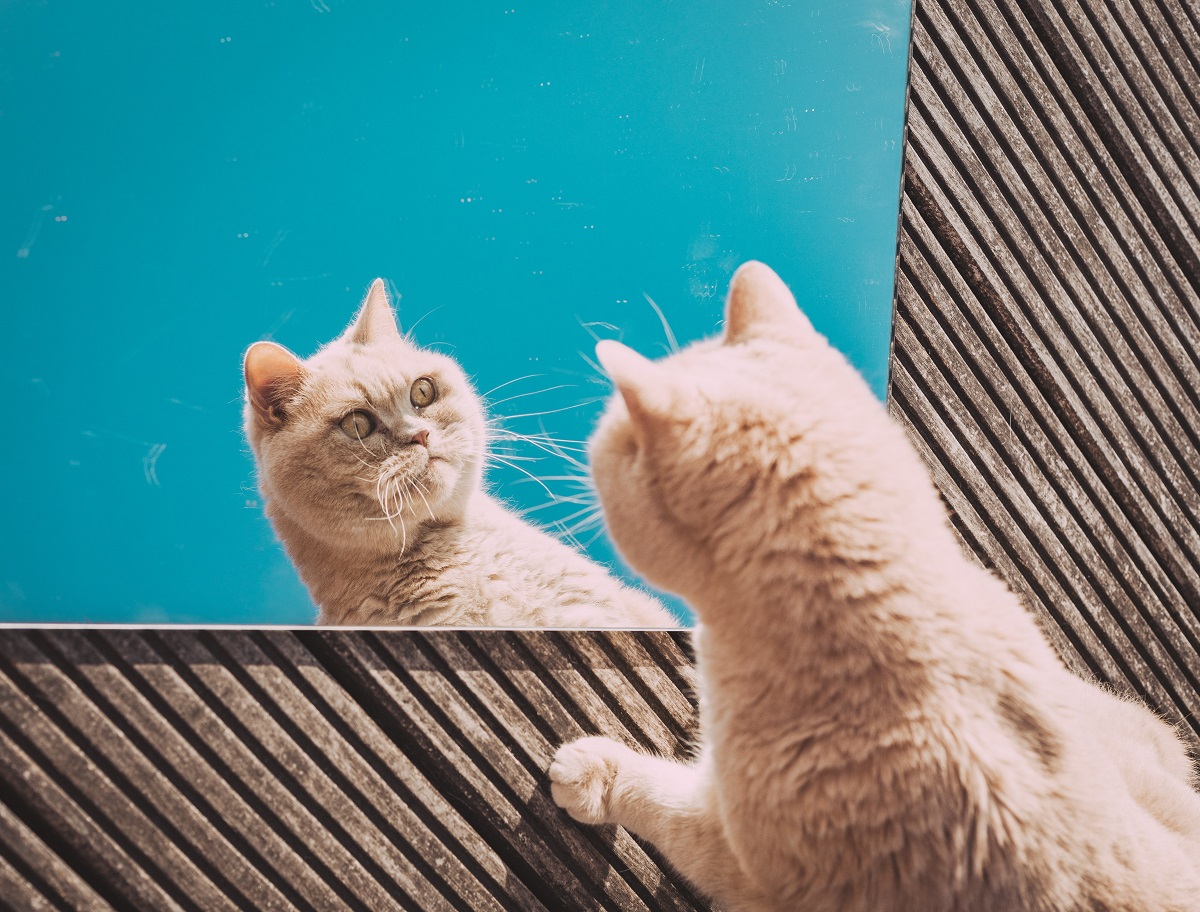 Ilustrační foto.