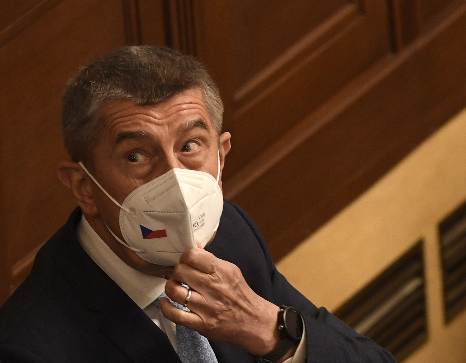 Premiér Andrej Babiš (ANO).